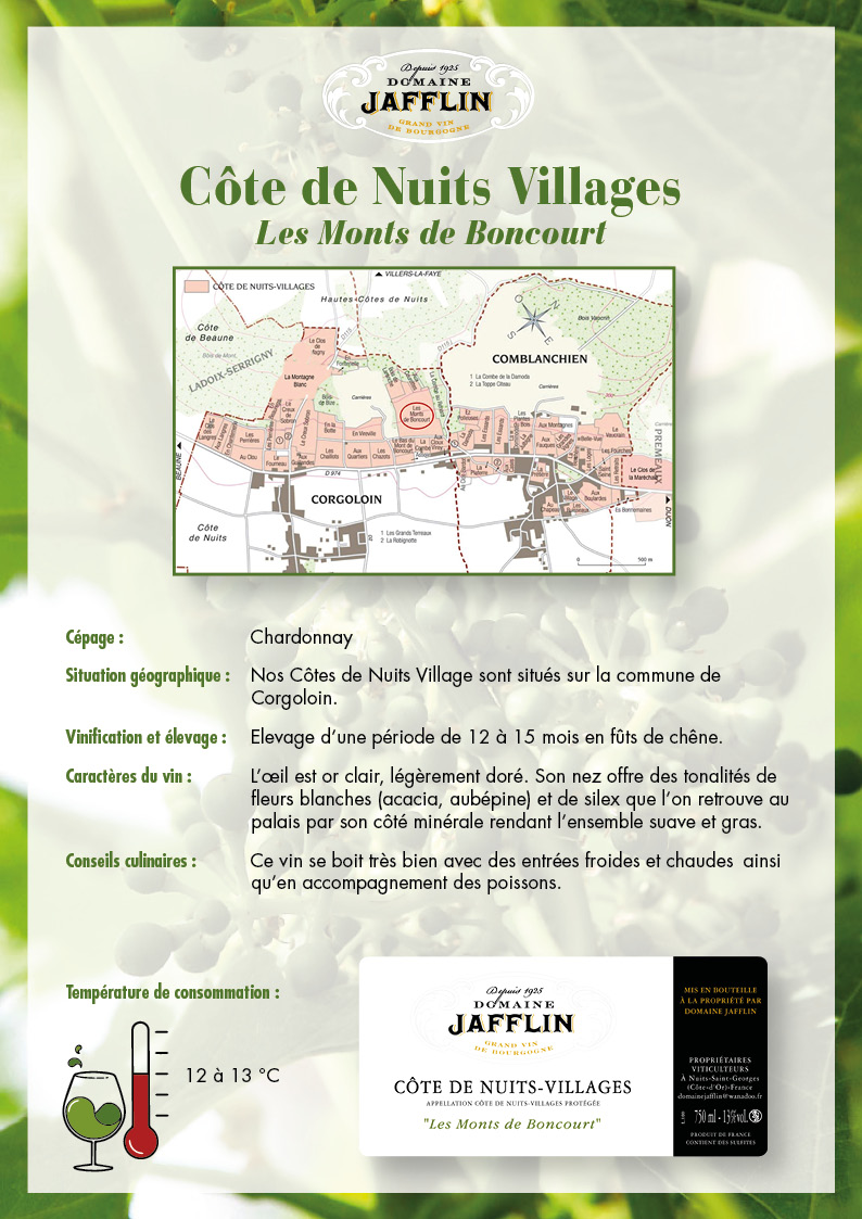 cote-de-nuits-villages-b