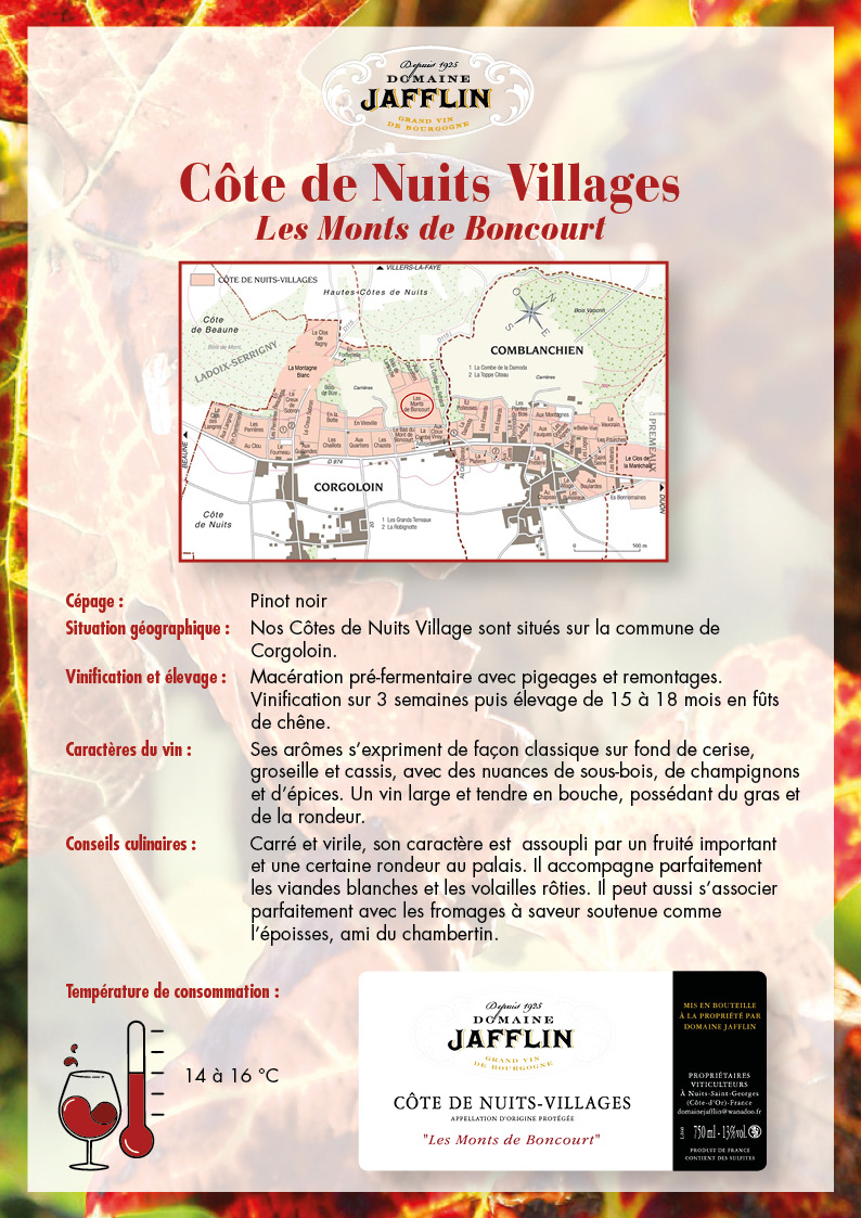 cote-de-nuits-villages-r