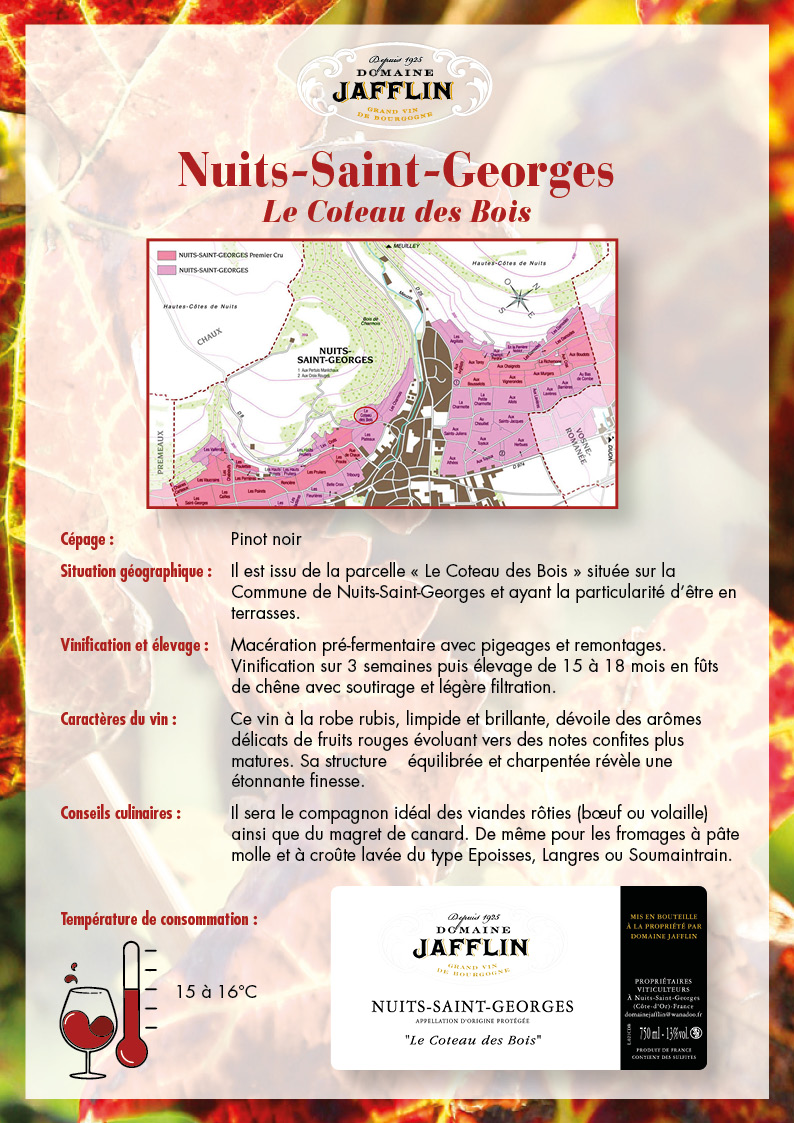 nuits-saint-georges-coteau