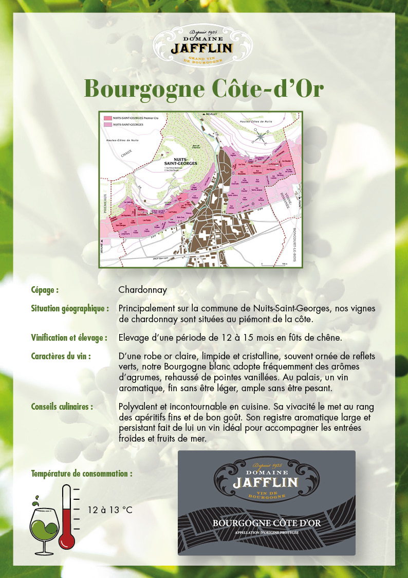 bourgogne-cote-dor-blanc