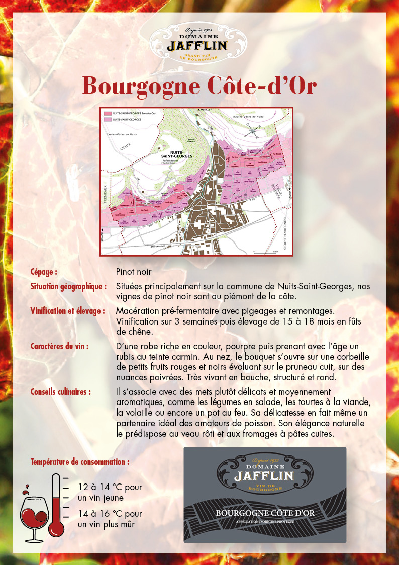 bourgogne-cote-dor-rouge